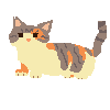 My Cat, Missy